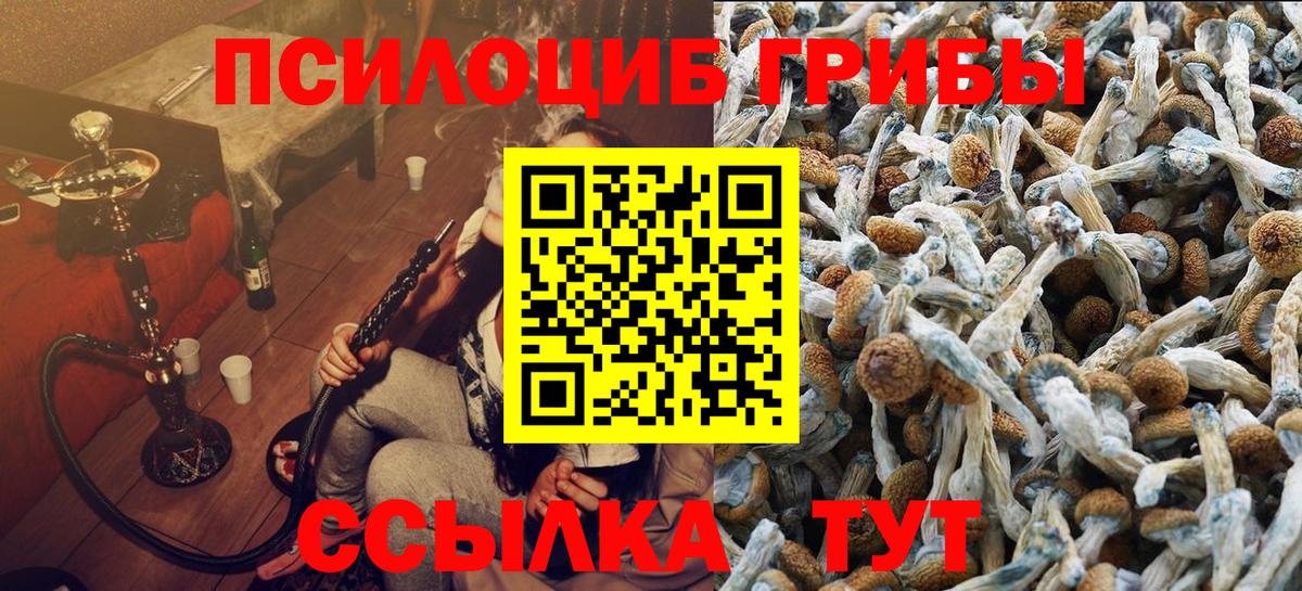 Псилоцибиновые грибы MAGIC MUSHROOMS Наро-Фоминск